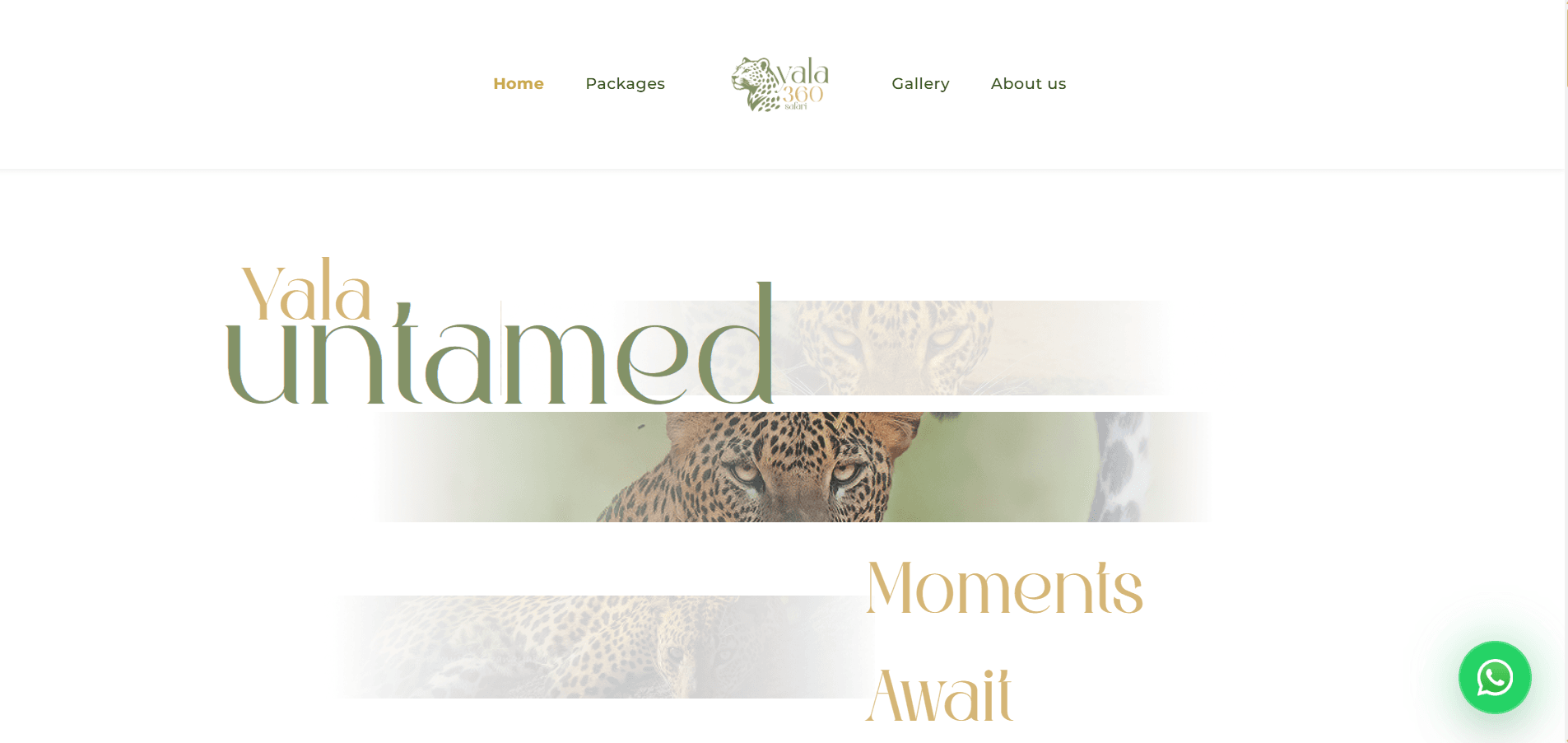 Yala 360 Safari